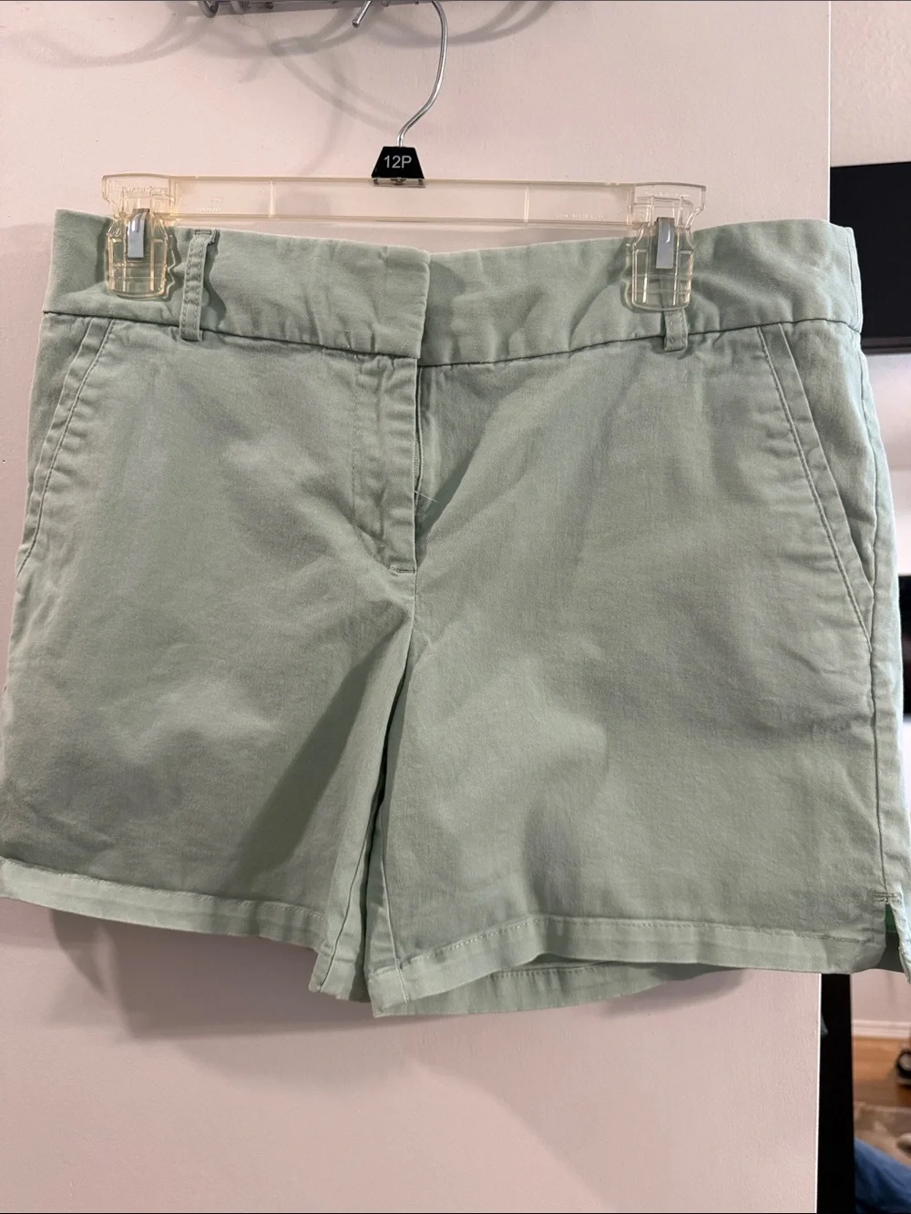 LOFT Light Mint Green Chino Shorts